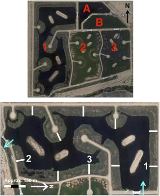 A Decade of Ecosystem-Scale Research at an Aridland Constructed Treatment Wetland